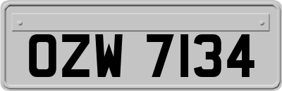 OZW7134