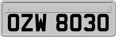 OZW8030
