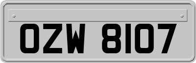 OZW8107