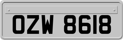 OZW8618