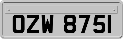 OZW8751