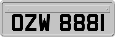 OZW8881