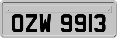 OZW9913