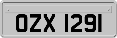 OZX1291