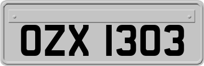 OZX1303