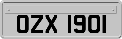 OZX1901