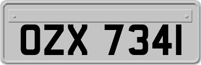 OZX7341