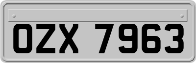 OZX7963