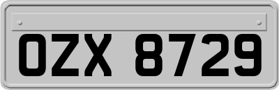 OZX8729