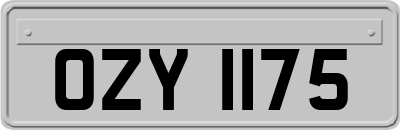 OZY1175