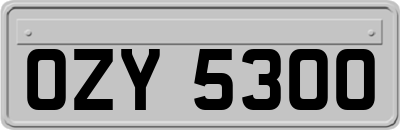OZY5300