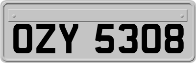 OZY5308