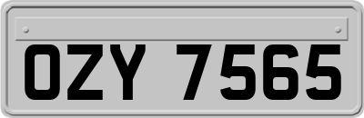 OZY7565