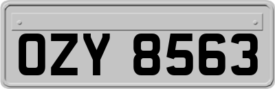 OZY8563