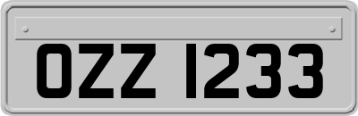 OZZ1233