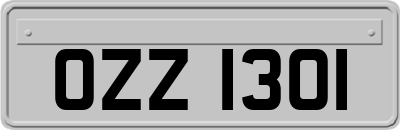 OZZ1301