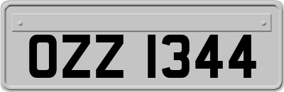 OZZ1344