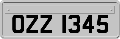 OZZ1345