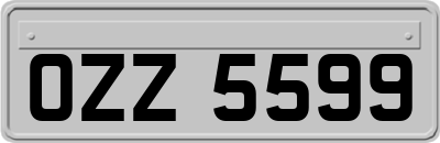 OZZ5599