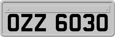 OZZ6030
