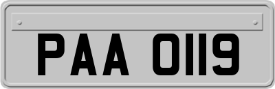 PAA0119