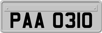 PAA0310