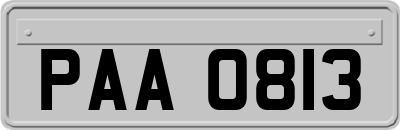 PAA0813