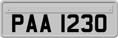 PAA1230