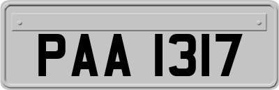 PAA1317