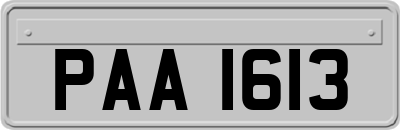 PAA1613