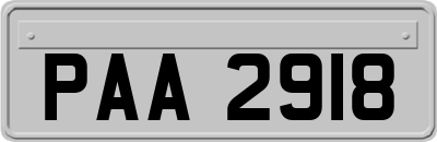 PAA2918