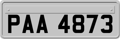 PAA4873
