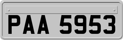 PAA5953