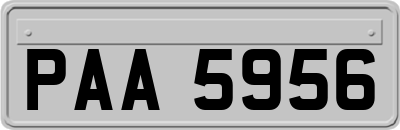PAA5956