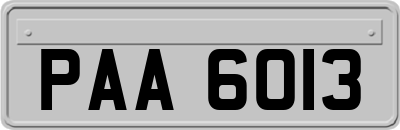 PAA6013