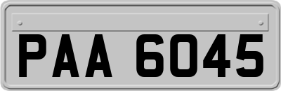PAA6045