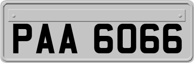 PAA6066