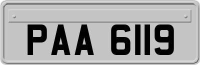 PAA6119