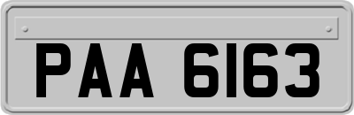 PAA6163