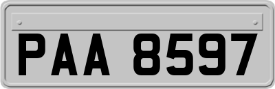 PAA8597