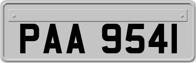 PAA9541