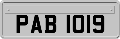 PAB1019