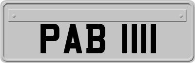 PAB1111