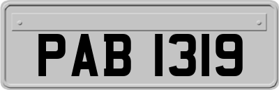 PAB1319