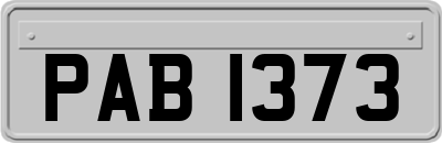 PAB1373