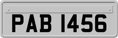 PAB1456