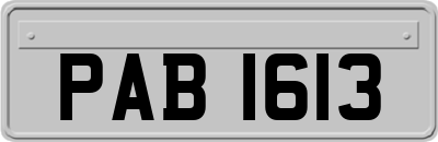 PAB1613