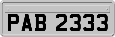 PAB2333