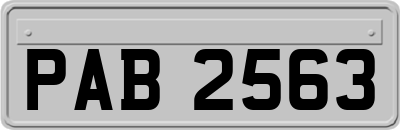 PAB2563
