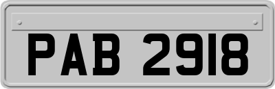 PAB2918